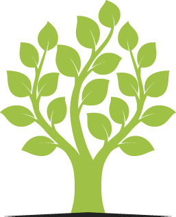 Residential Tree Service