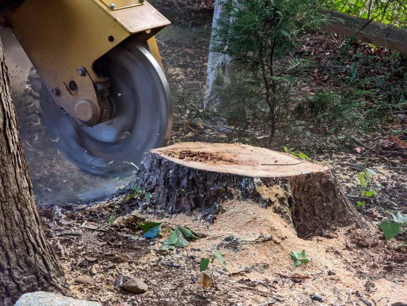 Tree Root Grinding in Calvert County, MD