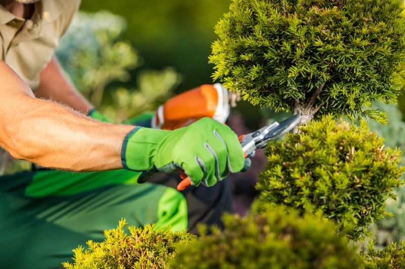 Bush Trimming Service in Honolulu, HI