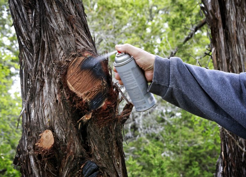 Cedar Tree Trimming in Allentown, PA