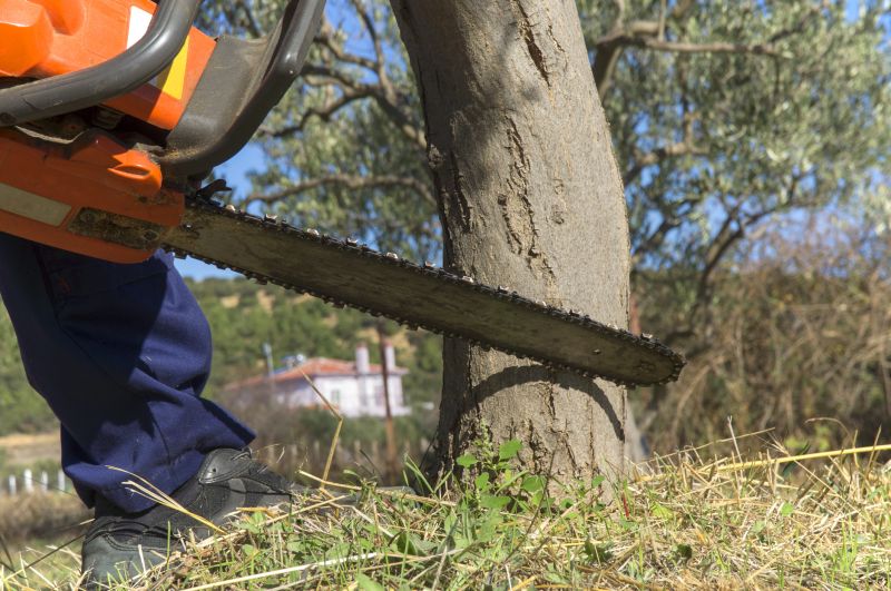 Dead Tree Removal in Bucks County, PA