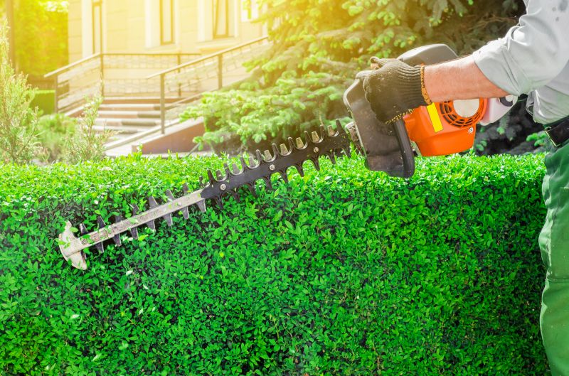 Evergreen Hedge Trimming in Honolulu, HI
