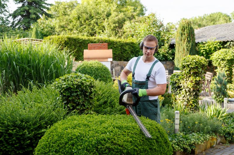 Hedge Trimming in Rockwall, TX
