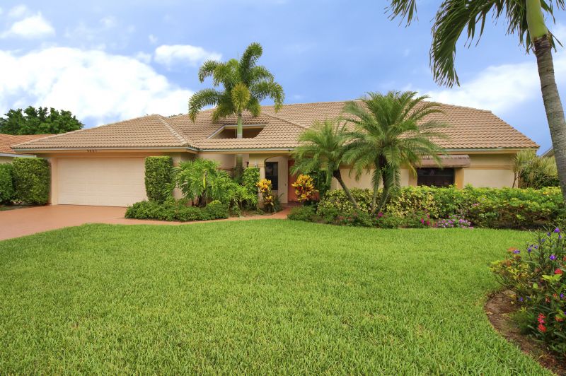 Palm Tree Removal in Aiken, SC
