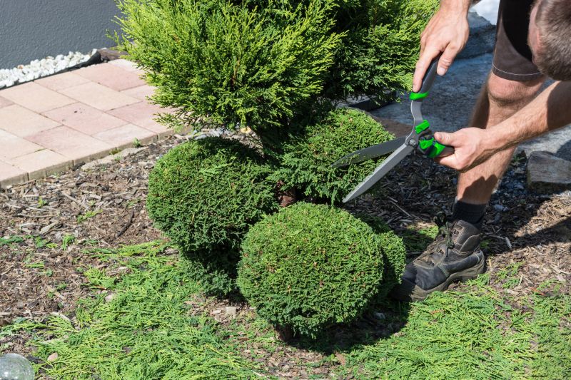 Shrub Pruning in Rockwall, TX