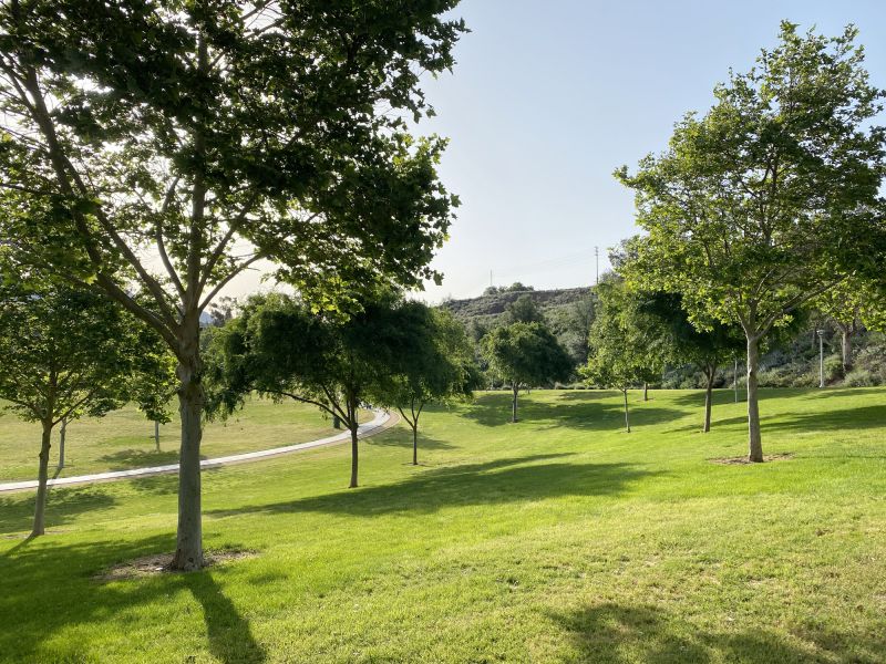 Landscape Maintenance Teams