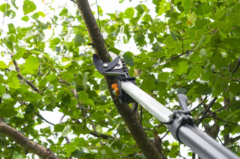 Tree Pruning